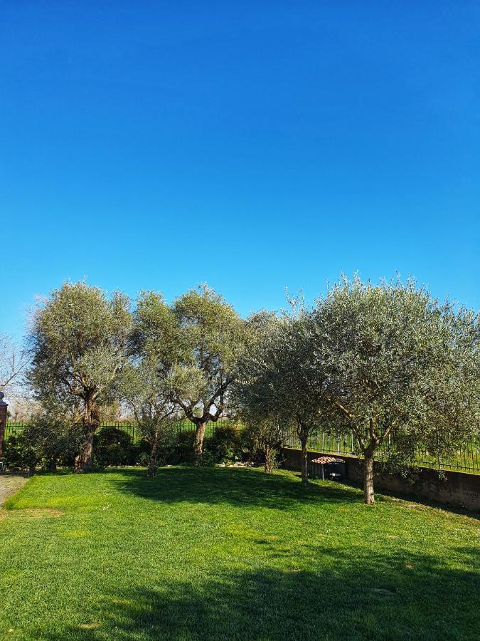Il Camino Rosso Apartment Sandrigo